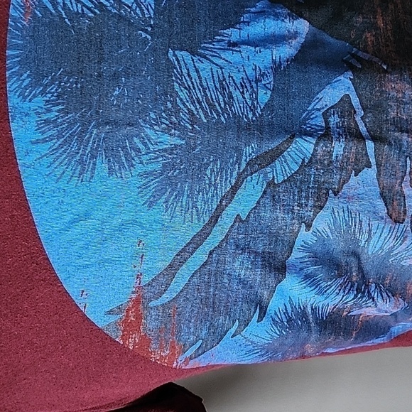 American Eagle maroontee with blue and black graphics - Picture 4 of 15